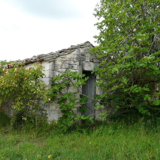  AGENCE IMMOBILIERE MARIN : Terrain | CASTELNAU-MONTRATIER (46170) | 0 m2 | 115 000 € 