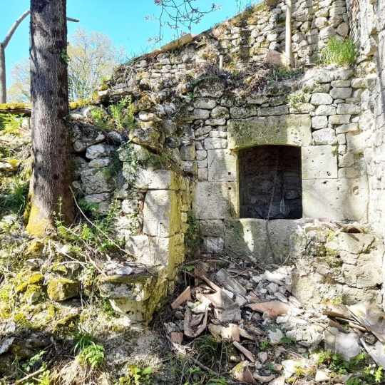  AGENCE IMMOBILIERE MARIN : Maison / Villa | MONTAIGU-DE-QUERCY (82150) | 250 m2 | 65 400 € 