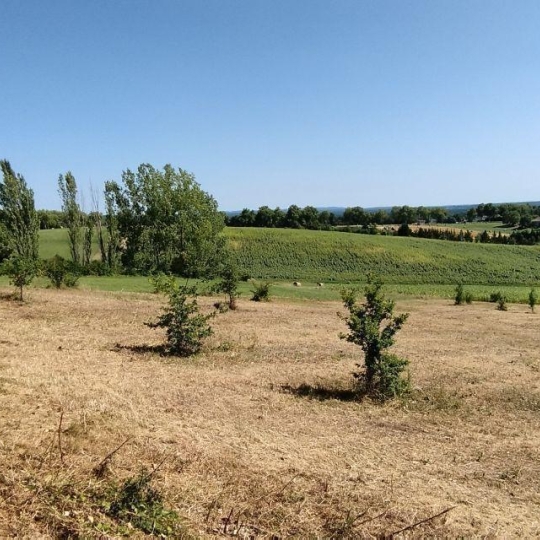 AGENCE IMMOBILIERE MARIN : Terrain | PUYLAROQUE (82240) | 0 m2 | 36 000 € 