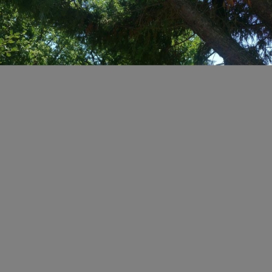 AGENCE IMMOBILIERE MARIN : Maison / Villa | FLAUGNAC (46170) | 106 m2 | 215 000 € 