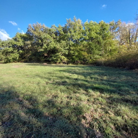  AGENCE IMMOBILIERE MARIN : Terrain | SAINT-PANTALEON (46800) | 0 m2 | 40 000 € 