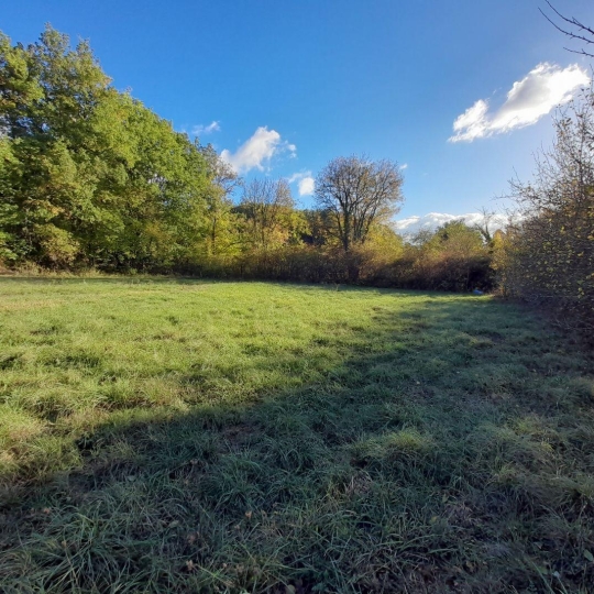  AGENCE IMMOBILIERE MARIN : Terrain | SAINT-PANTALEON (46800) | 0 m2 | 40 000 € 
