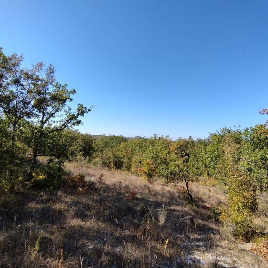  AGENCE IMMOBILIERE MARIN : Terrain | CEZAC (46170) | 0 m2 | 36 500 € 