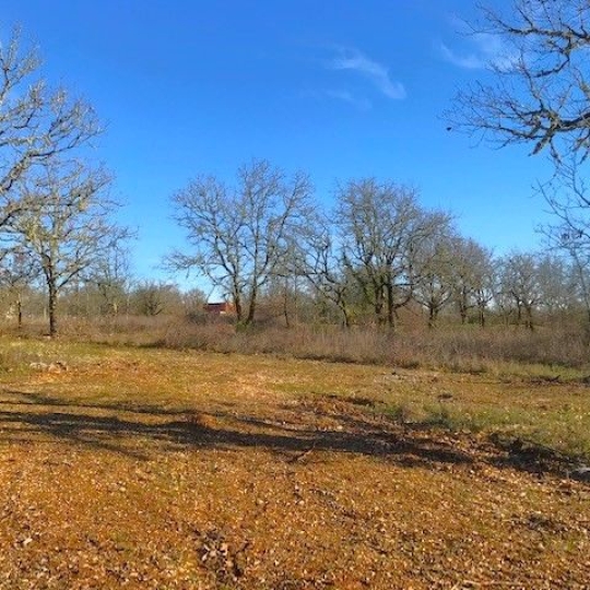  AGENCE IMMOBILIERE MARIN : Terrain | AUJOLS (46090) | 0 m2 | 43 800 € 