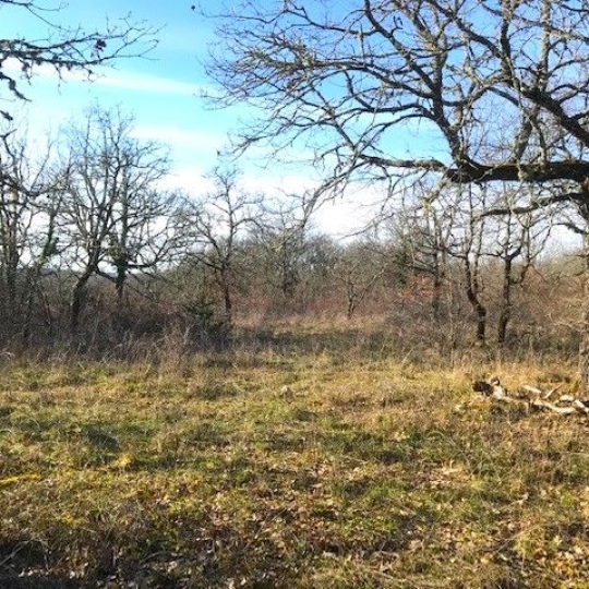  AGENCE IMMOBILIERE MARIN : Terrain | AUJOLS (46090) | 0 m2 | 43 800 € 