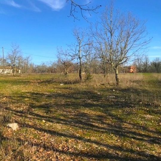  AGENCE IMMOBILIERE MARIN : Terrain | AUJOLS (46090) | 0 m2 | 43 800 € 