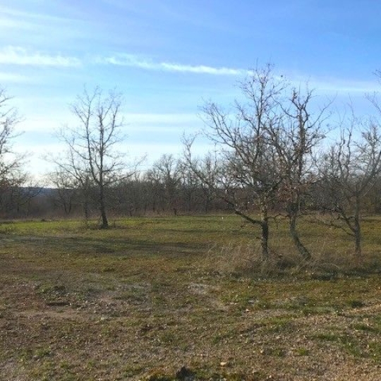 AGENCE IMMOBILIERE MARIN : Terrain | AUJOLS (46090) | 0 m2 | 43 800 € 