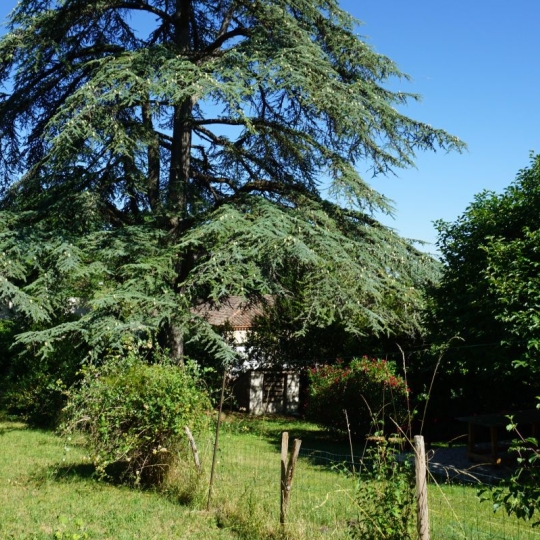 AGENCE IMMOBILIERE MARIN : Maison / Villa | CASTELNAU-MONTRATIER (46170) | 65.00m2 | 105 000 € 