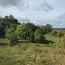  AGENCE IMMOBILIERE MARIN : Terrain | MOLIERES (82220) | 0 m2 | 36 000 € 