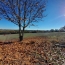  AGENCE IMMOBILIERE MARIN : Maison / Villa | MONTAIGU-DE-QUERCY (82150) | 350 m2 | 402 800 € 