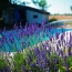  AGENCE IMMOBILIERE MARIN : Maison / Villa | MONTCUQ (46800) | 325 m2 | 727 160 € 