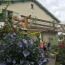  AGENCE IMMOBILIERE MARIN : Maison / Villa | CASTELNAU-MONTRATIER (46170) | 190 m2 | 155 000 € 