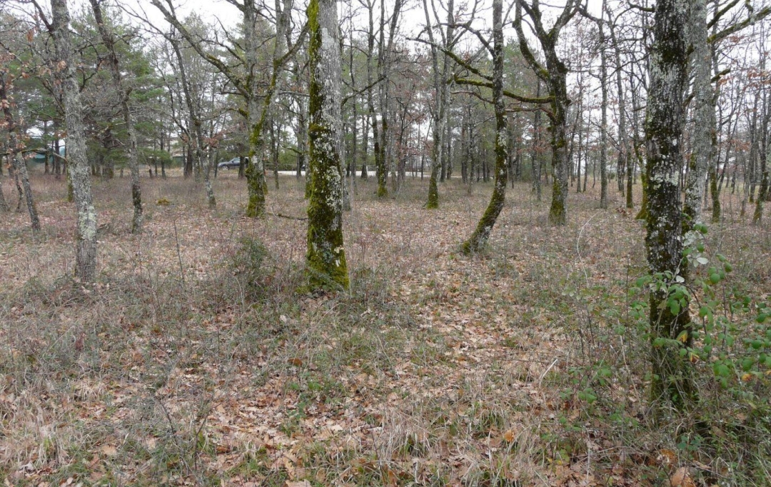 AGENCE IMMOBILIERE MARIN : Terrain | FLAUGNAC (46170) | 0 m2 | 51 000 € 