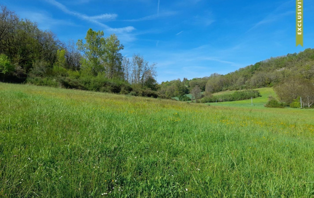 AGENCE IMMOBILIERE MARIN : Maison / Villa | MONTCUQ (46800) | 160 m2 | 233 200 € 