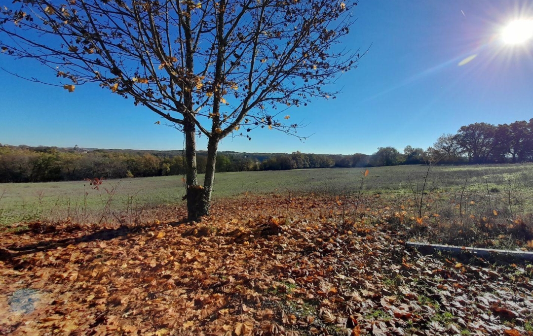 AGENCE IMMOBILIERE MARIN : Maison / Villa | MONTAIGU-DE-QUERCY (82150) | 350 m2 | 402 800 € 
