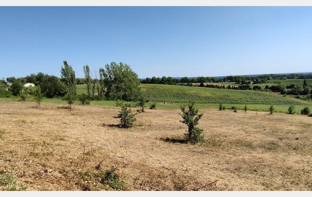 AGENCE IMMOBILIERE MARIN : Terrain | PUYLAROQUE (82240) | 0 m2 | 36 000 € 