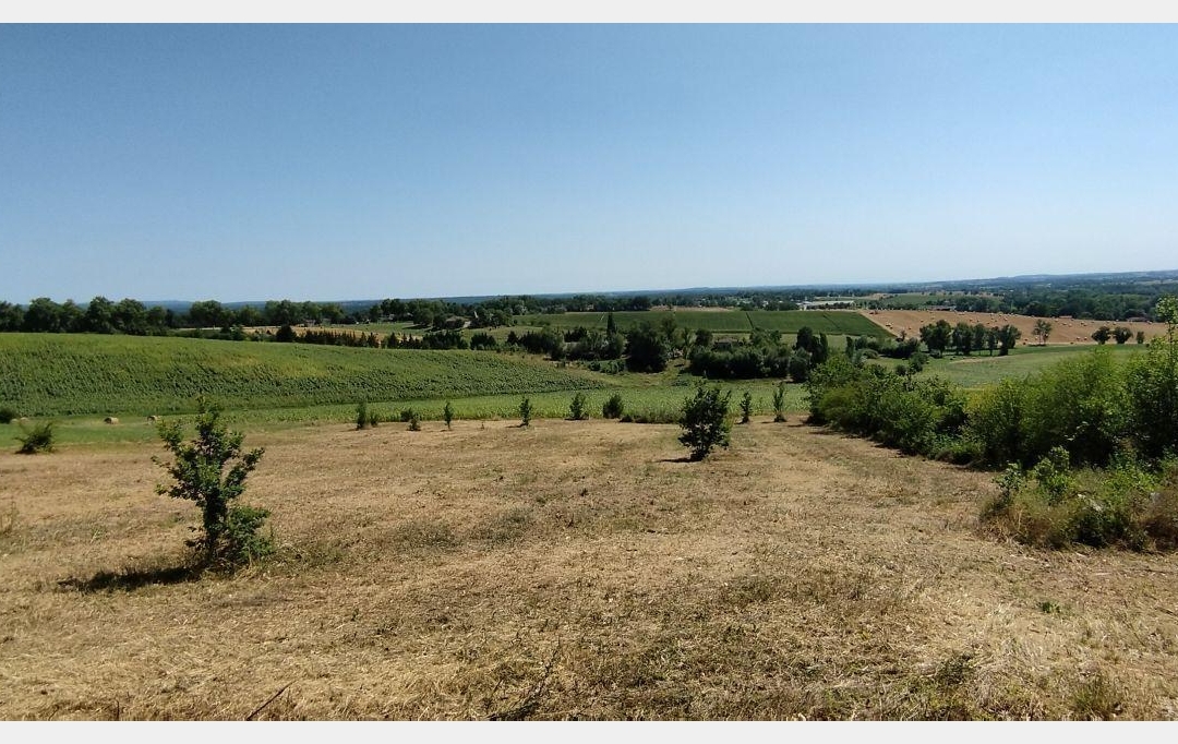 AGENCE IMMOBILIERE MARIN : Terrain | PUYLAROQUE (82240) | 0 m2 | 36 000 € 