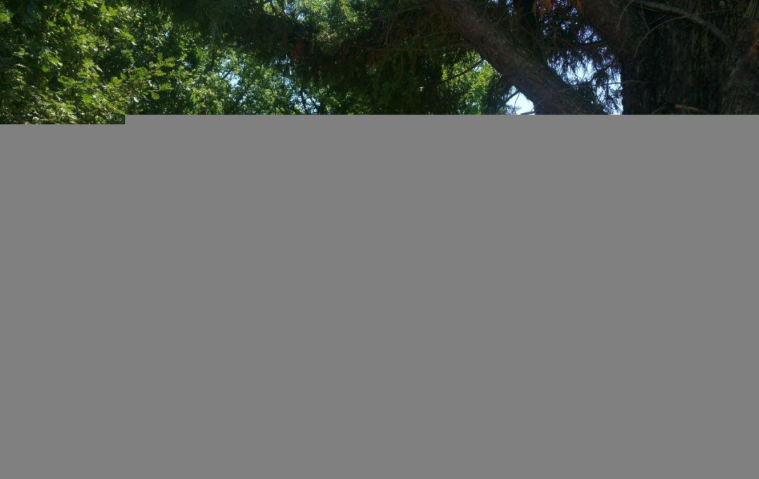 AGENCE IMMOBILIERE MARIN : Maison / Villa | FLAUGNAC (46170) | 106 m2 | 215 000 € 