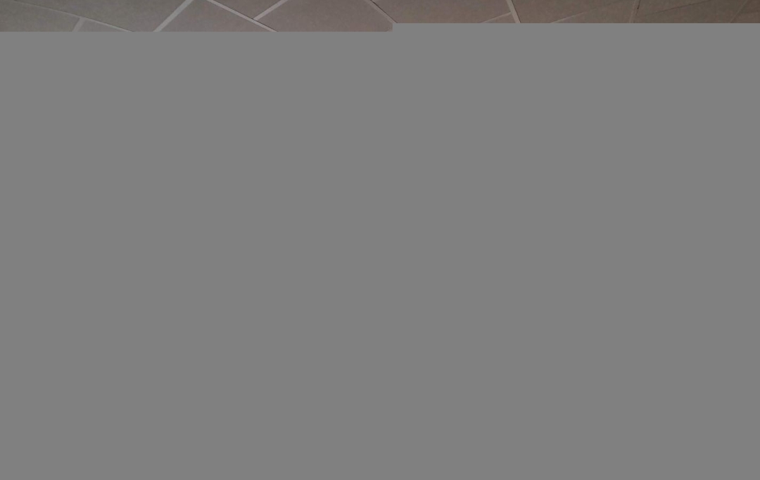 AGENCE IMMOBILIERE MARIN : Maison / Villa | MONTCUQ (46800) | 325 m2 | 727 160 € 
