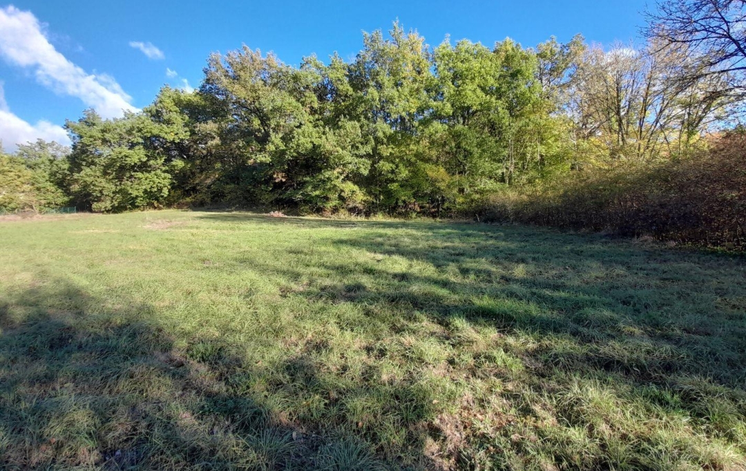 AGENCE IMMOBILIERE MARIN : Terrain | SAINT-PANTALEON (46800) | 0 m2 | 40 000 € 