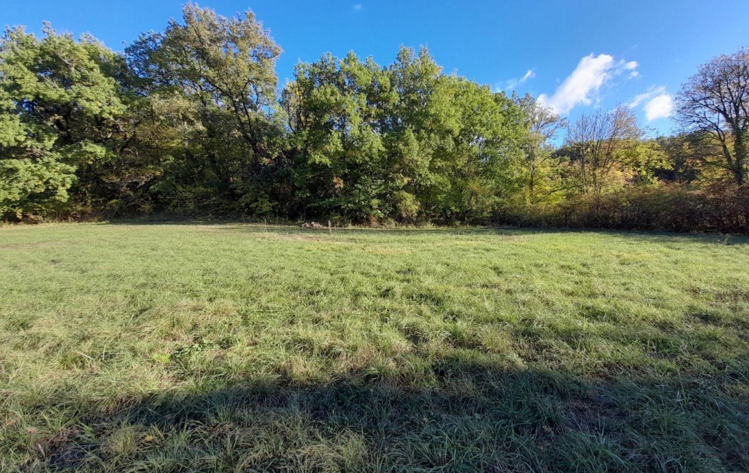 AGENCE IMMOBILIERE MARIN : Terrain | SAINT-PANTALEON (46800) | 0 m2 | 40 000 € 