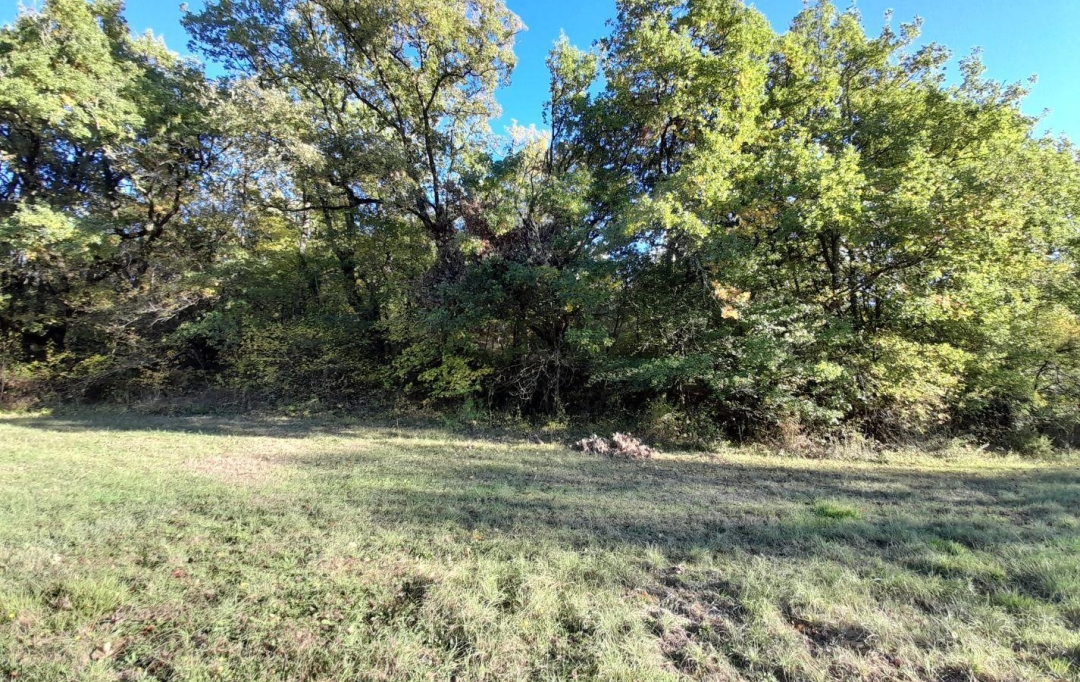 AGENCE IMMOBILIERE MARIN : Terrain | SAINT-PANTALEON (46800) | 0 m2 | 40 000 € 