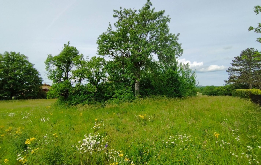 AGENCE IMMOBILIERE MARIN : Ground | SEPTFONDS (82240) | 0 m2 | 35 000 € 