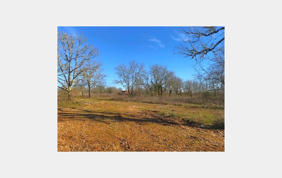 AGENCE IMMOBILIERE MARIN : Terrain | AUJOLS (46090) | 0 m2 | 43 800 € 