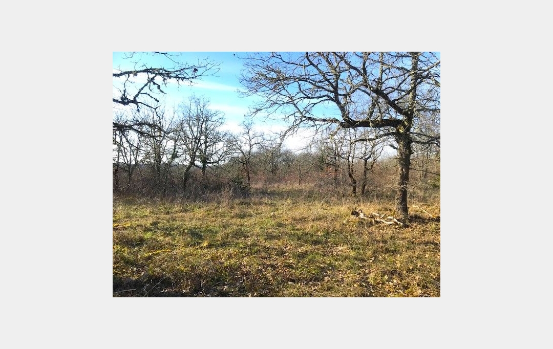 AGENCE IMMOBILIERE MARIN : Terrain | AUJOLS (46090) | 0 m2 | 43 800 € 