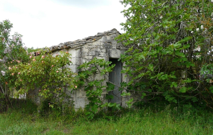 AGENCE IMMOBILIERE MARIN : Terrain | CASTELNAU-MONTRATIER (46170) | 0 m2 | 115 000 € 