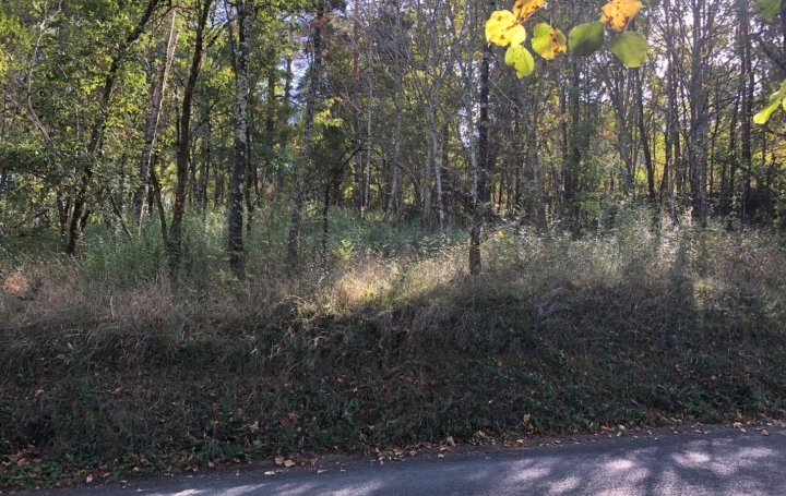  AGENCE IMMOBILIERE MARIN Terrain | LUZECH (46140) | 0 m2 | 40 000 € 