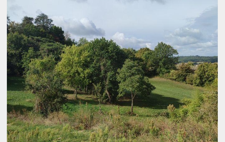  AGENCE IMMOBILIERE MARIN Terrain | MOLIERES (82220) | 0 m2 | 36 000 € 