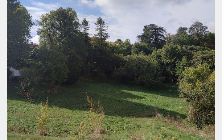  AGENCE IMMOBILIERE MARIN Terrain | MOLIERES (82220) | 0 m2 | 46 000 € 