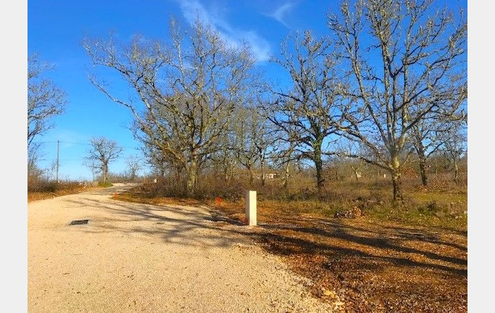  AGENCE IMMOBILIERE MARIN Terrain | AUJOLS (46090) | 0 m2 | 43 800 € 