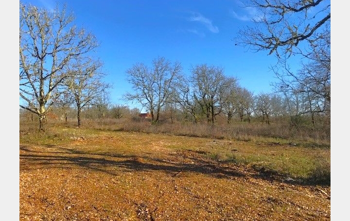  AGENCE IMMOBILIERE MARIN Terrain | AUJOLS (46090) | 0 m2 | 48 880 € 