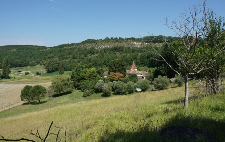  AGENCE IMMOBILIERE MARIN Domaines / Propriétés | SAUVETERRE (82110) | 319 m2 | 787 500 € 